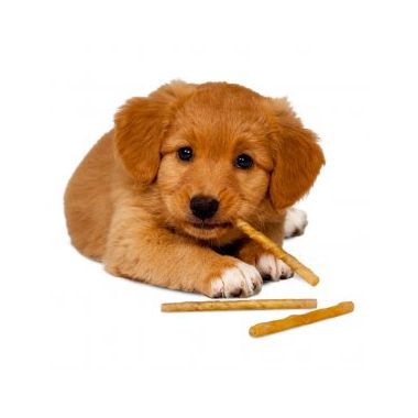 Snacks / Godbider til hund