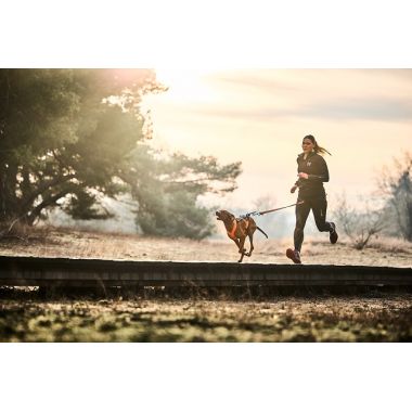 Hike / K9-Biathlon (Seler & bælter)