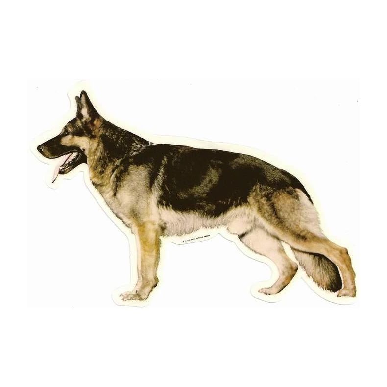 Schferhund 008