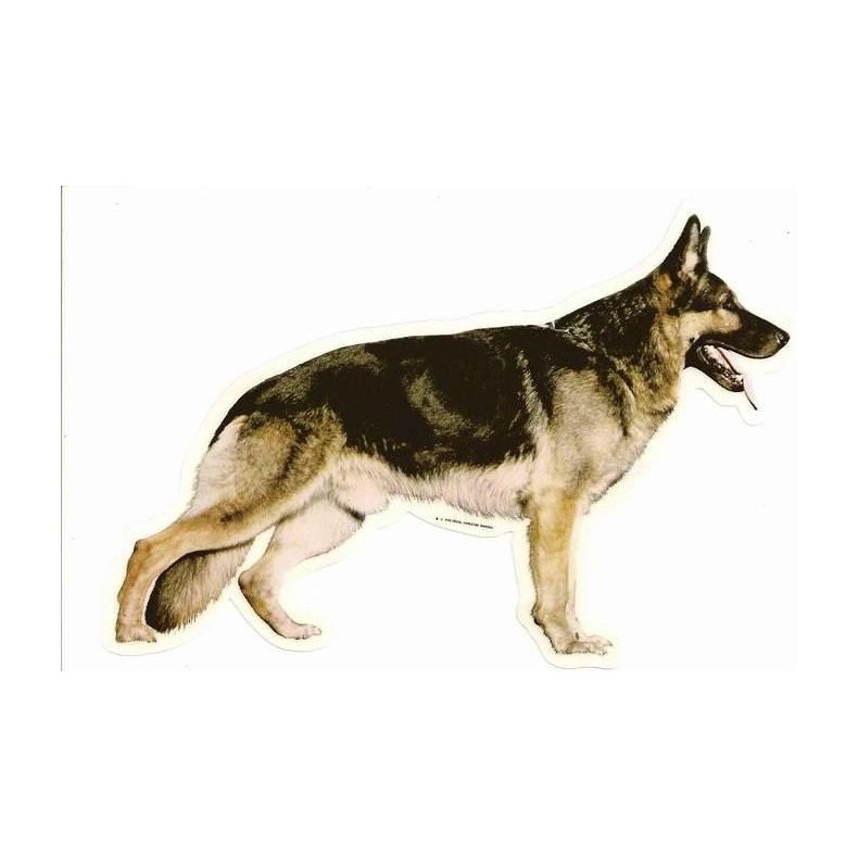 Schferhund 008