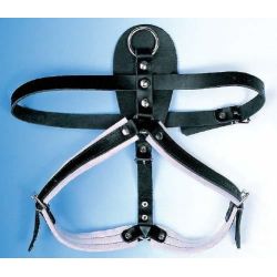 Forsvarssele, Medium (tve), Lder