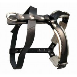 Forsvarssele, Large (han), Lder