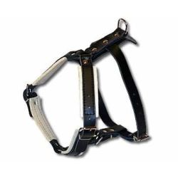 Forsvarssele, Medium (tve), Lder