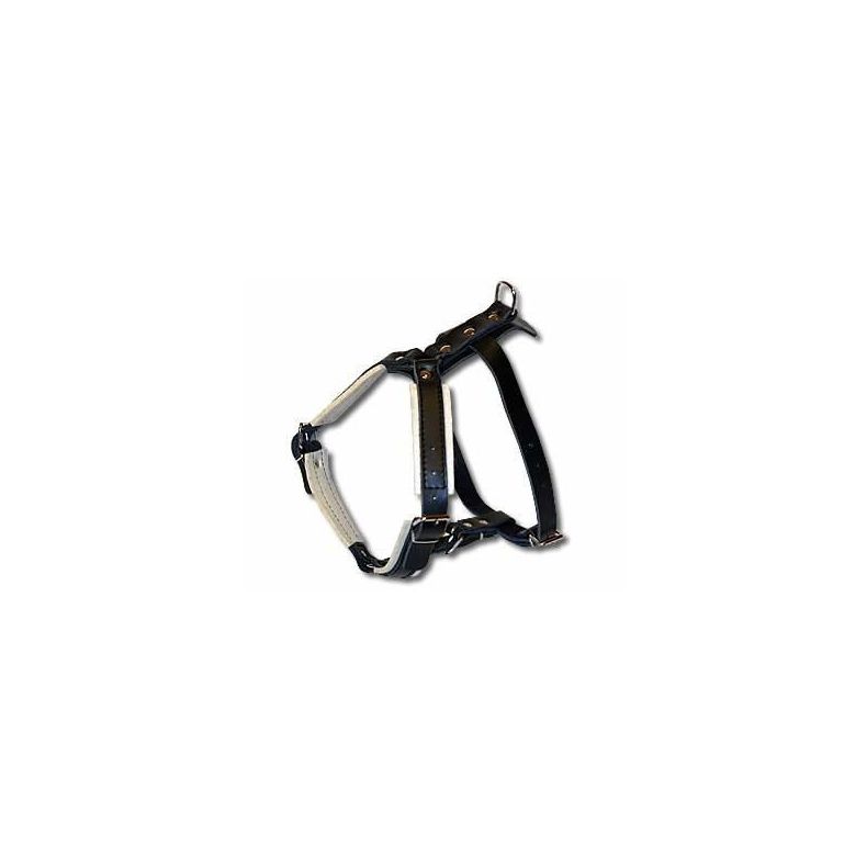 Forsvarssele, Medium (tve), Lder