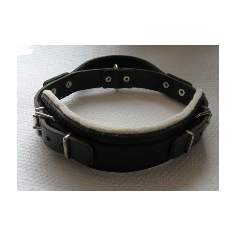 Kraftig lderhalsbnd m/hndtag