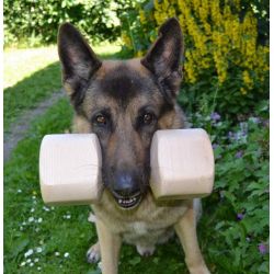 Apportbuk trning Gappay 2 Kg model / 8 cm