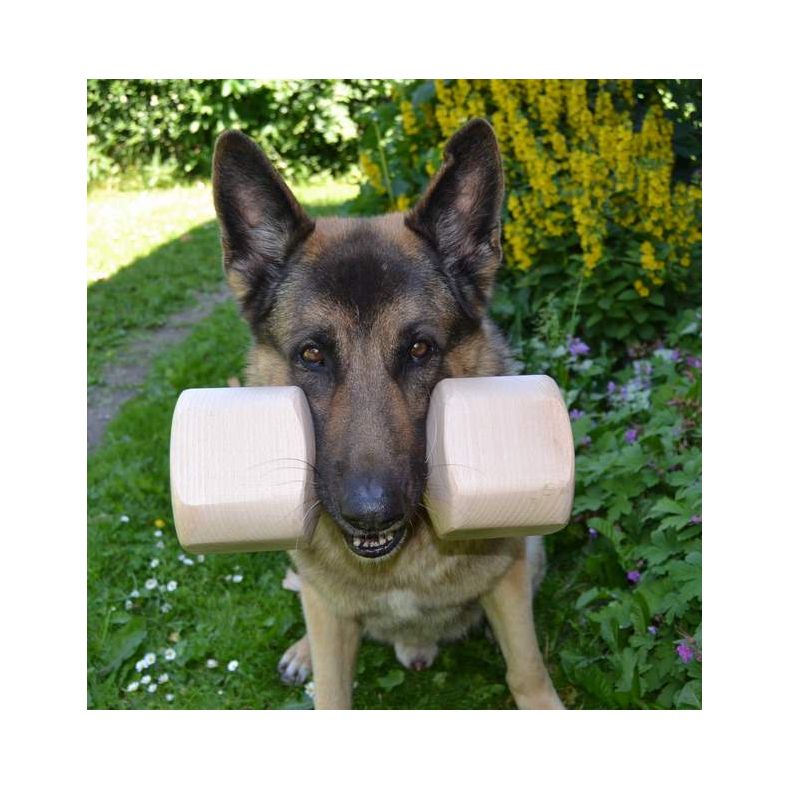 Apportbuk trning Gappay 2 Kg model / 8 cm