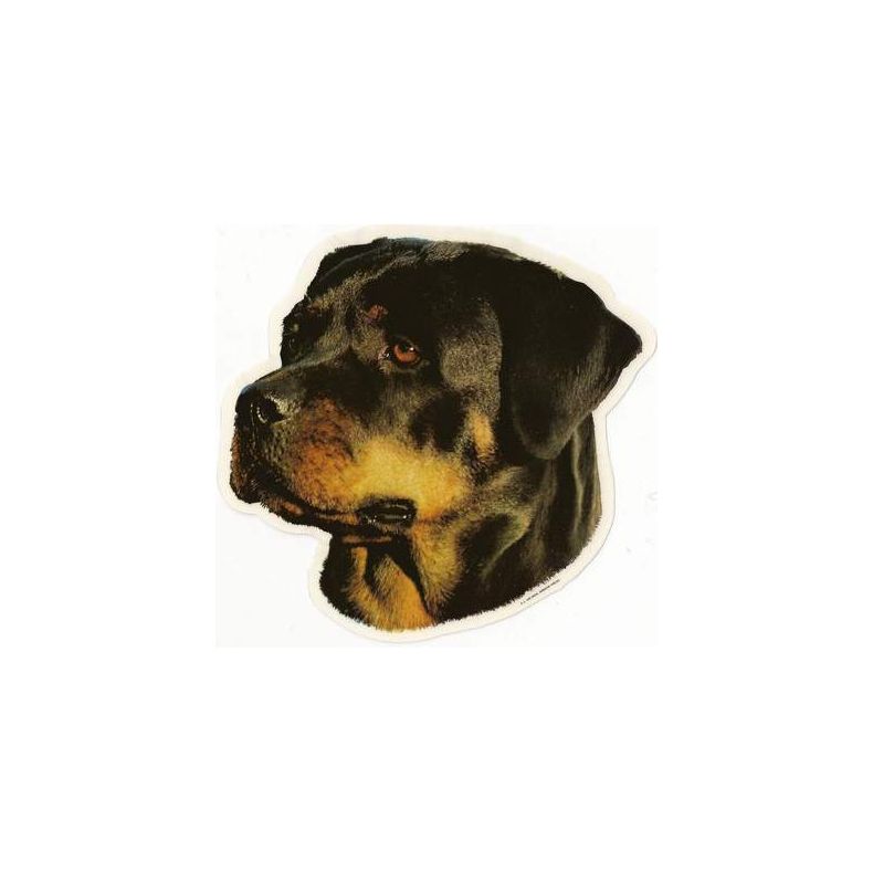 Rottweiler 009