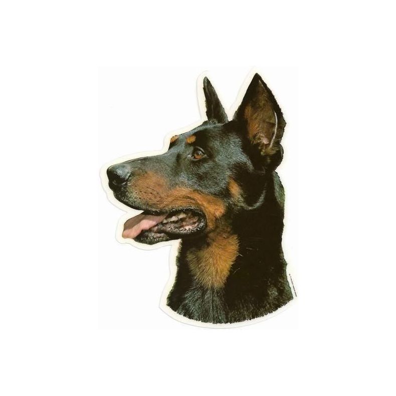 Dekal med Dobermann  064