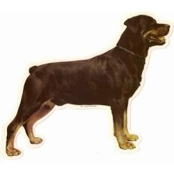 Rottweiler 120
