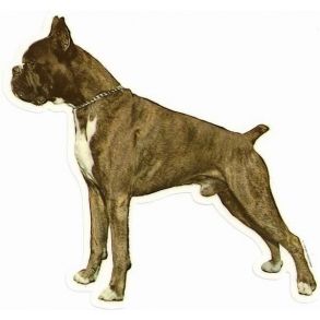 Dekal med stende boxer (2 stk.)