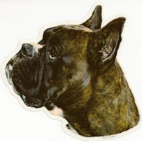 Dekal med boxer (2 stk.)