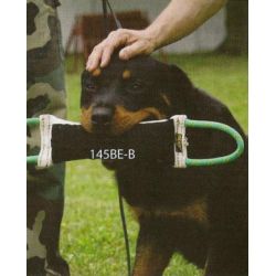 Sele m/psat bideplse