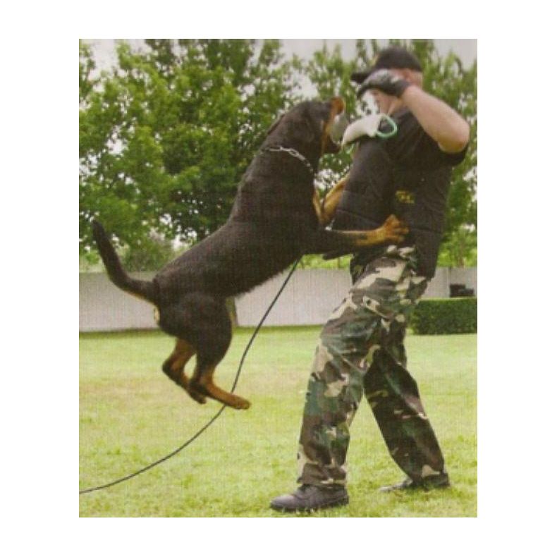 Sele m/psat bideplse