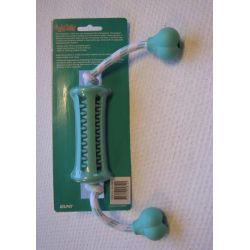 Dental roller, mint