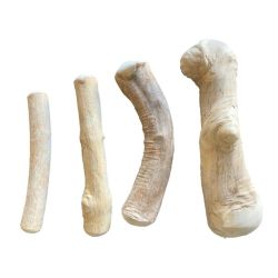 Coffee Tree Wood (Kaffetr) - Tyggeben - Medium