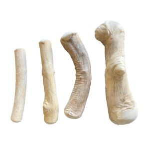 Coffee Tree Wood (Kaffetr) - Tyggeben - Medium