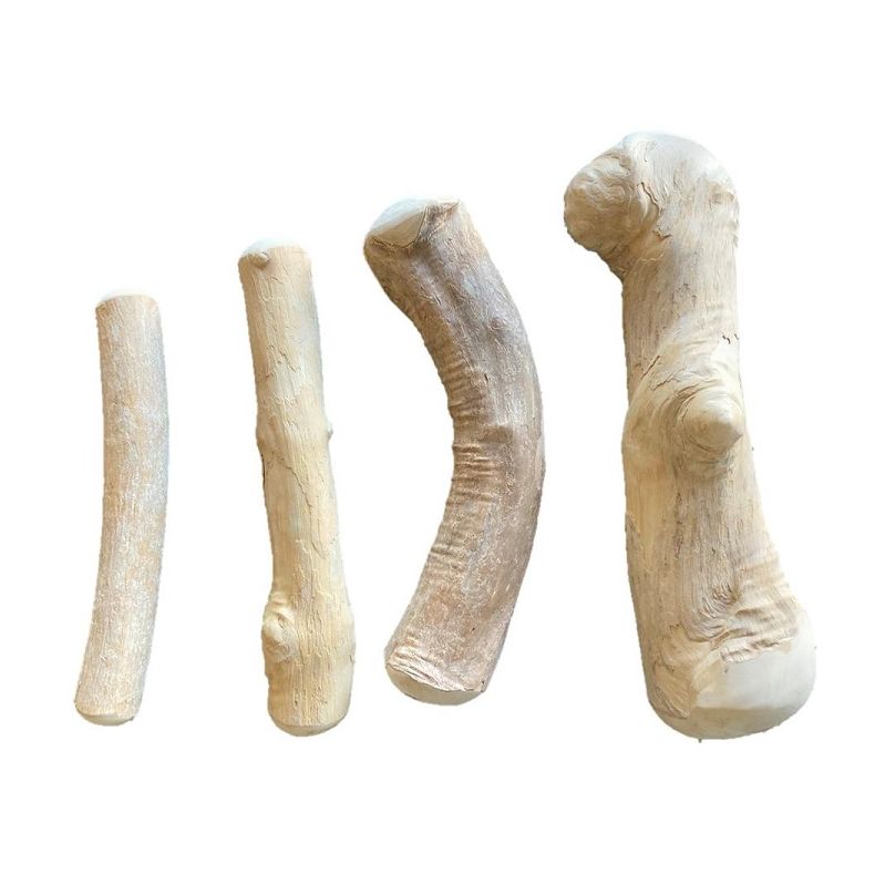 Coffee Tree Wood (Kaffetr) - Tyggeben - Medium