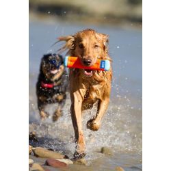 Chuckit Bumper - Kan flyde - Medium