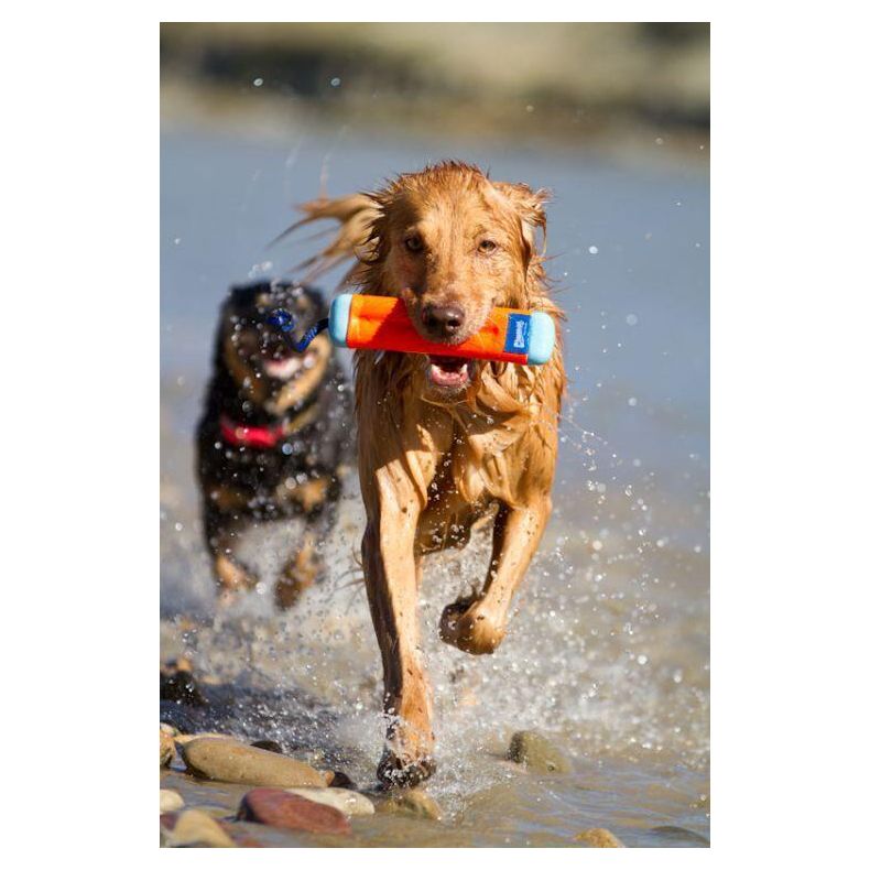 Chuckit Bumper - Kan flyde - Medium