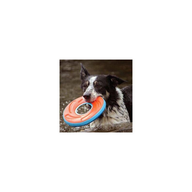 Chuckit Zipflight - Flying Ring