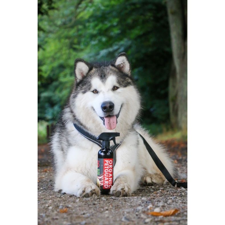 B&B - Tick &amp; Flea Pet Guard - ko - 500 ml