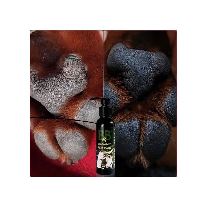 B&B - Potepleje - ko - 100 ml.