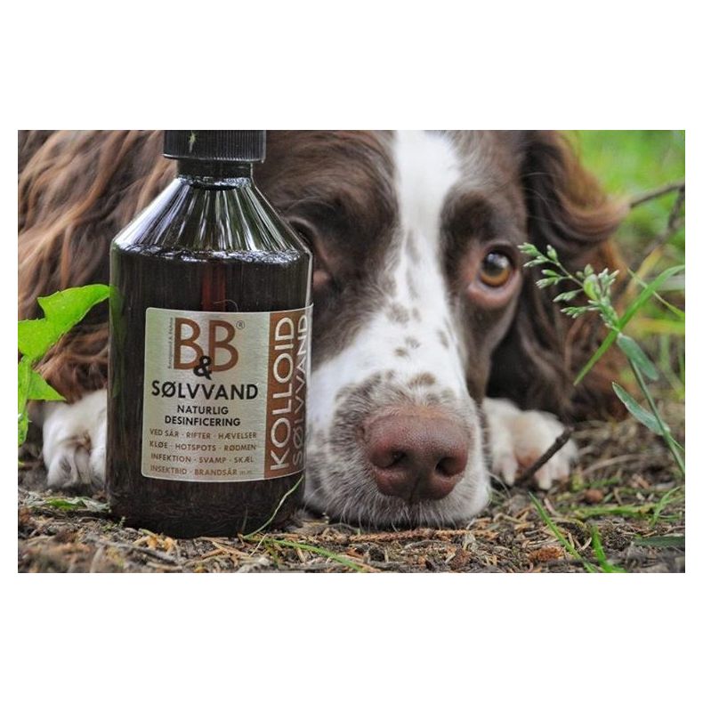 B&B Slvvand - 250 ml / 1 liter