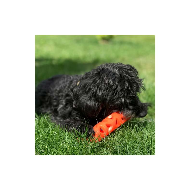 Chuckit - Breath Right Stick