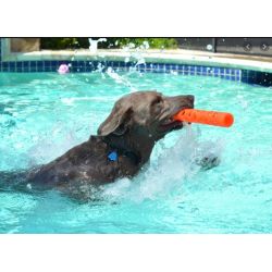 Chuckit - Breath Right Stick