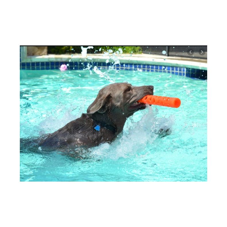 Chuckit - Breath Right Stick