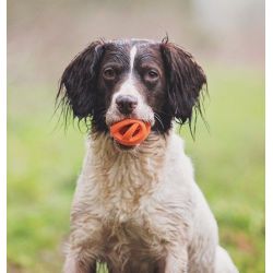 Chuckit - Breathe Right Fetch Ball - Small