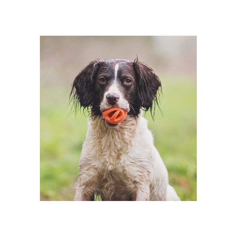 Chuckit - Breathe Right Fetch Ball - Small