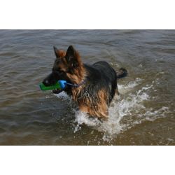 Chuckit Bumper - Kan flyde - Medium