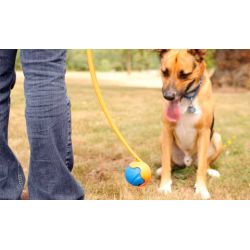 Chuckit Fetch Ball