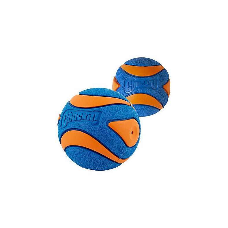 Chuckit Ultra Squeaker Ball