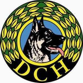 DCH logo, Lille - front  /  Ring for pris