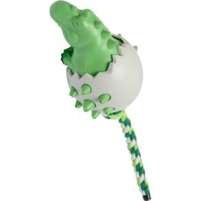 Chewing Dinosure Egg - Companion