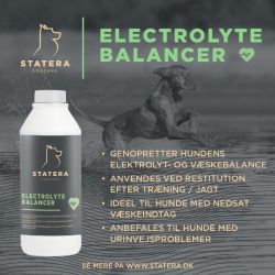 Statera - Electrolyte Balancer