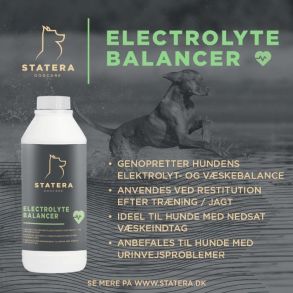 Statera - Electrolyte Balancer