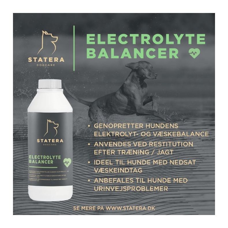 Statera - Electrolyte Balancer