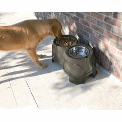 Ergo Feeder - Foder &amp; Vand - Small