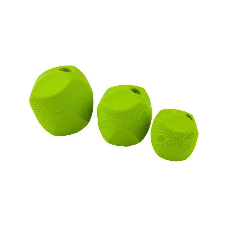 Chuckit Erratic Ball