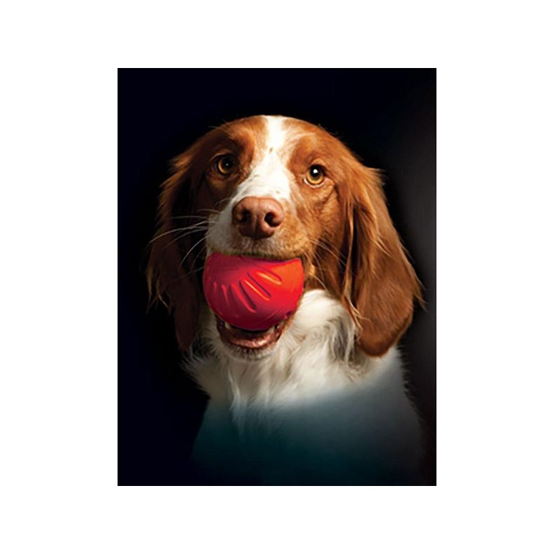 Starmark Foam Ball - Bacon