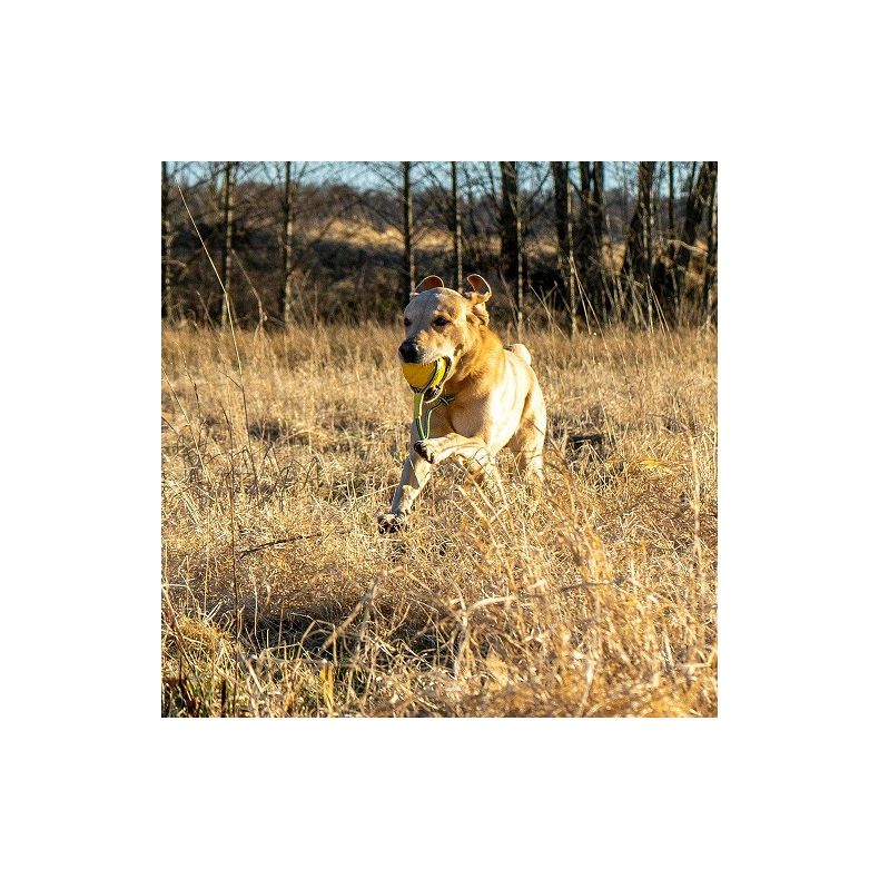 Fun Ball m/snor - Starmark