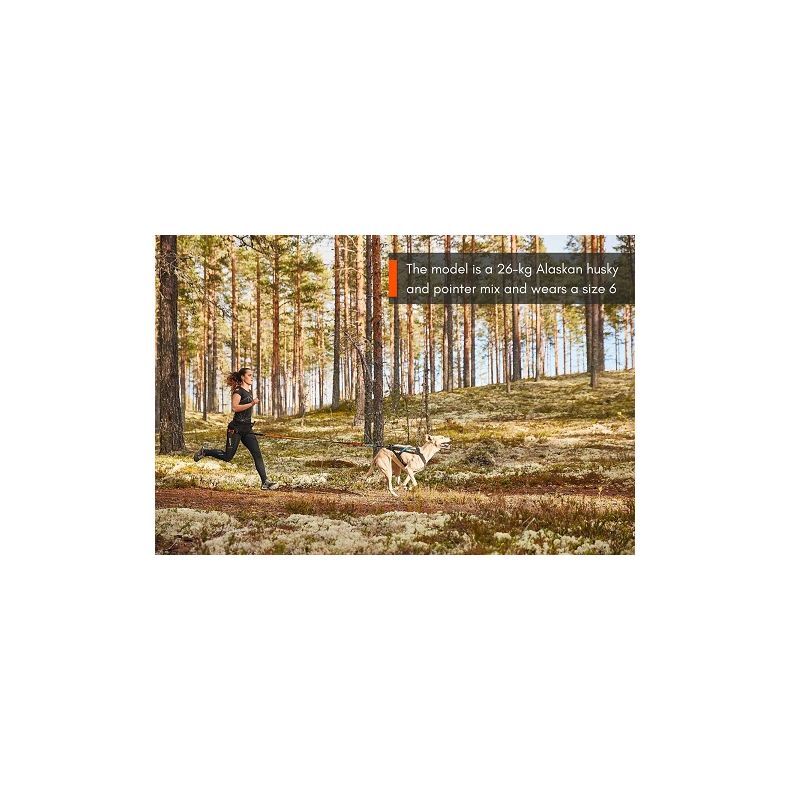 Non-Stop Freemotion Sele / Sort (Bestillingsvare - ca. 5 dage)