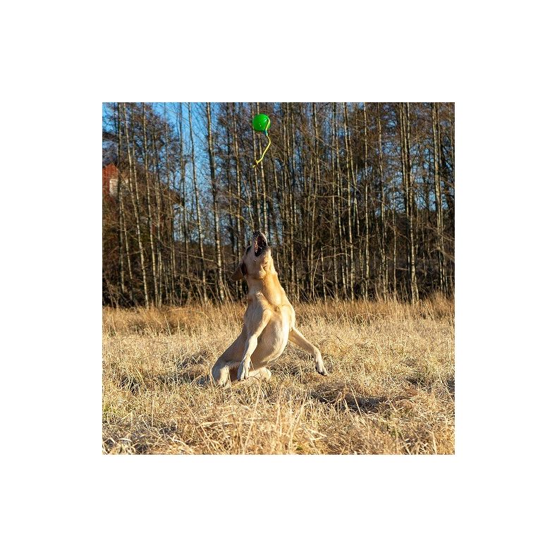 Fun Ball m/snor - Starmark