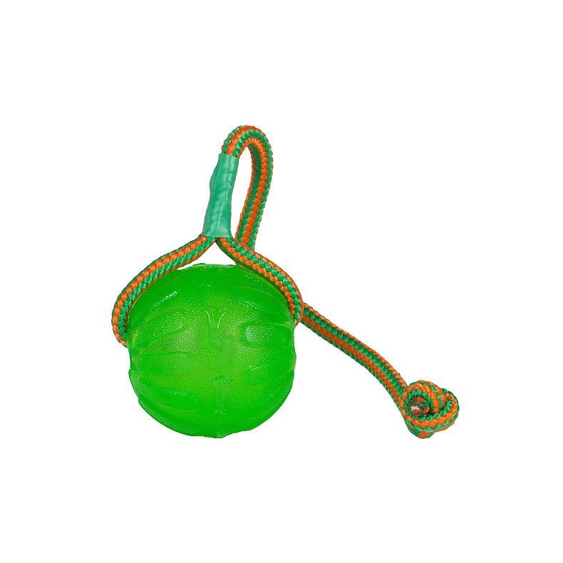 Fun Ball m/snor - Starmark