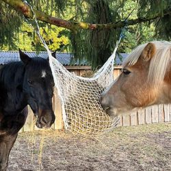 Hnet - Slowfeeder - Hvid 