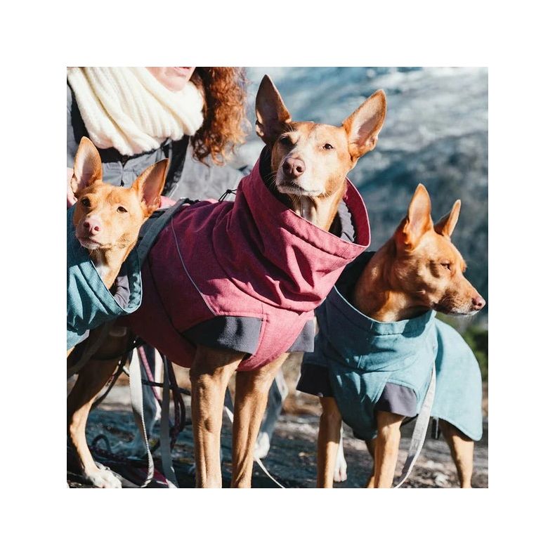 Hurtta Expedition Parka - Buckthorn